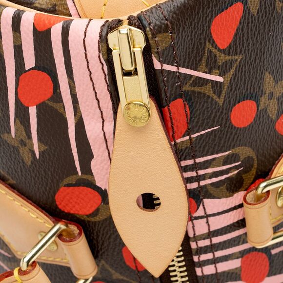 Louis Vuitton Limited Edition Monogram Canvas Jungle Dots Speedy 30 Satchel - Picture 9 of 16